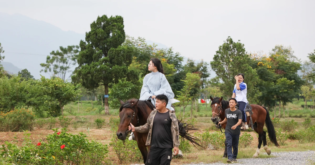 4675fc08720a6dea24bc.webp