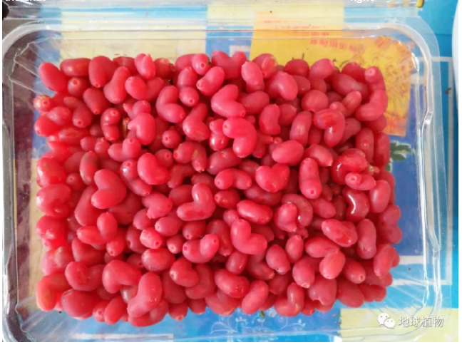 469f429a206245f708bf.png