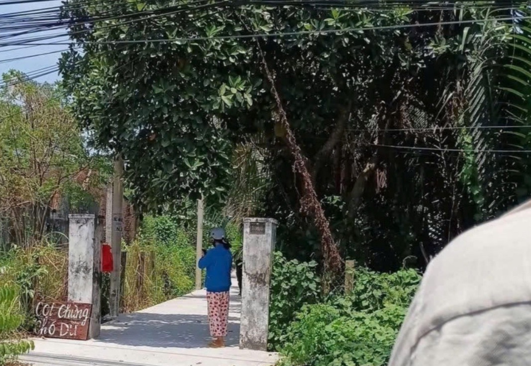 46b0f799604bc8b272ec.jpg