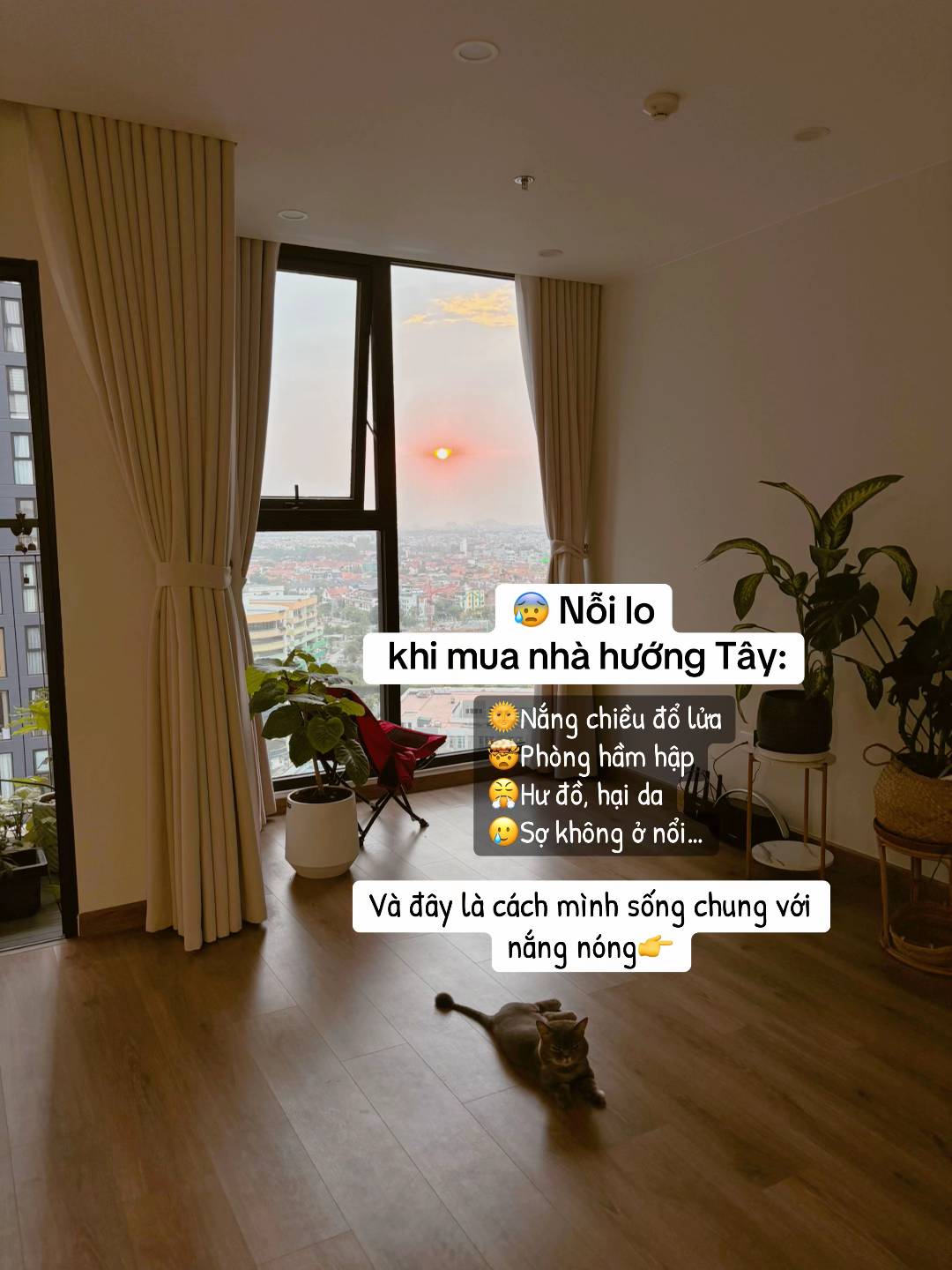 46c2351d3db188ff32ca.jpg