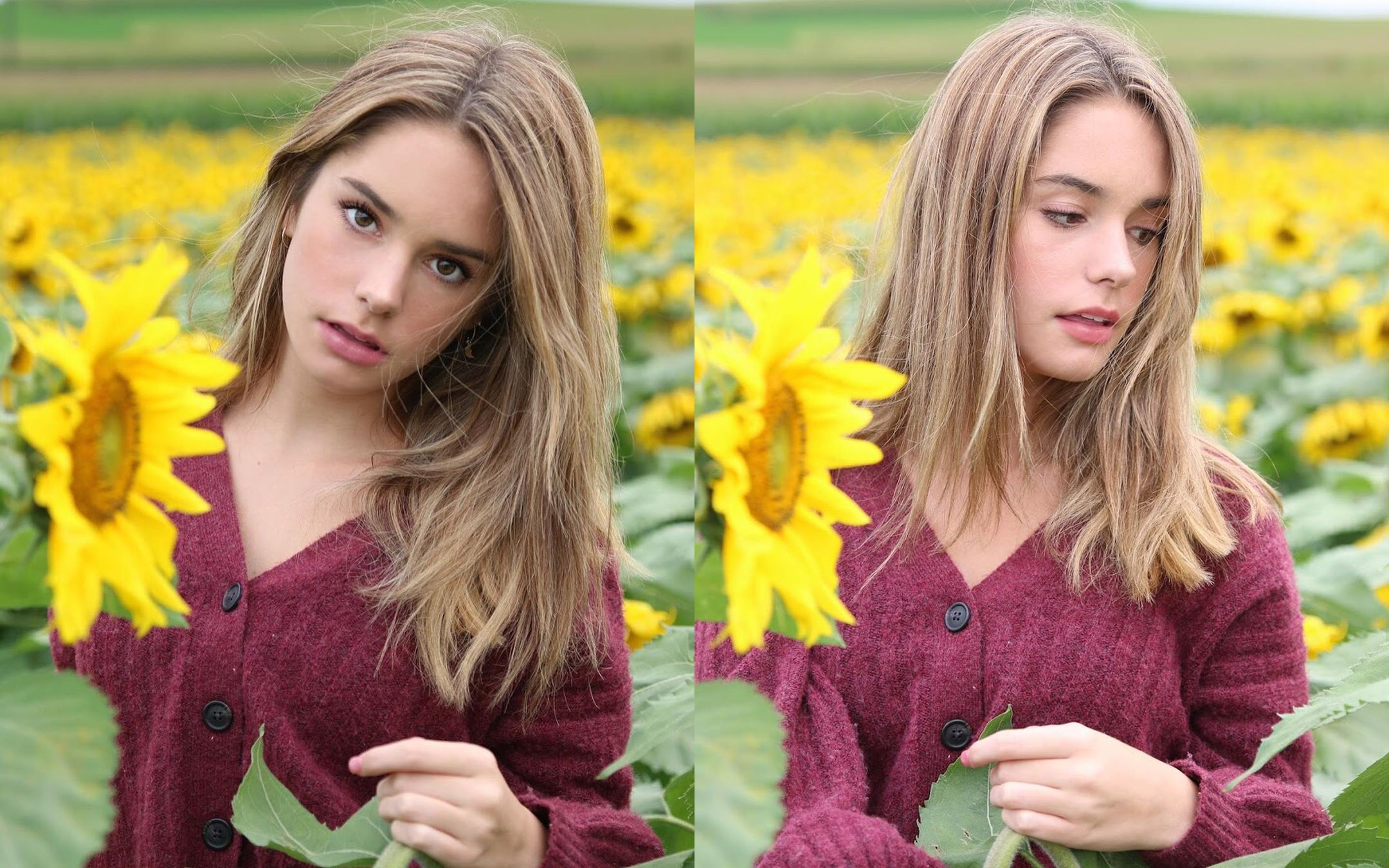 46e25a1069567a25decb.png