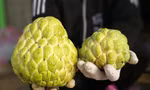 46e753d4e292c2314f76.jpg