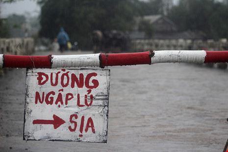 46eea8f5030b2a7e5e51.jpg