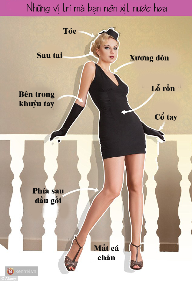 46efb288c47bb33b53ab.jpg