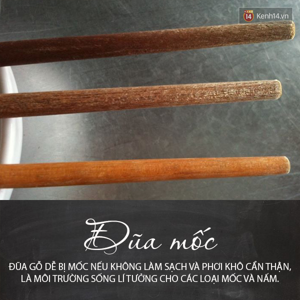 46fe80d5a28966d35864.jpg