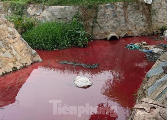 470df3c79bc196c99539.jpg