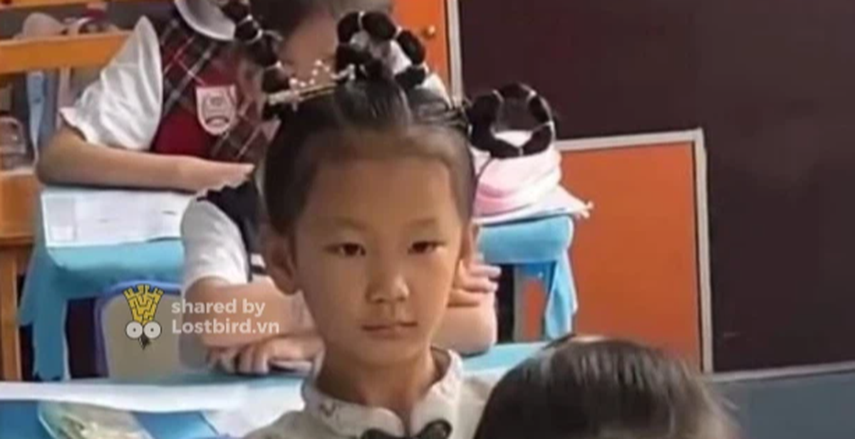 47326ae56dabe8b467e9.png