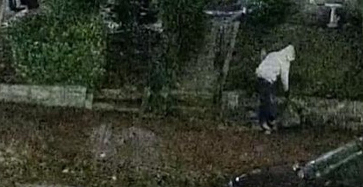 477882ea61090da52d09.jpg