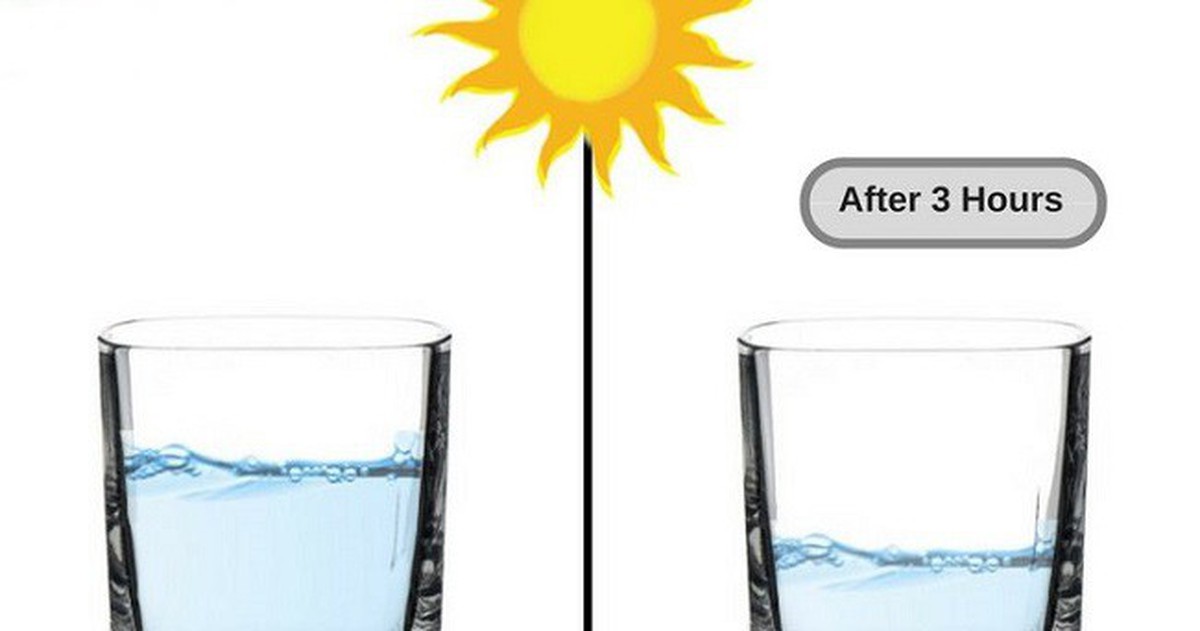 47c0e8d46c05c8192662.jpg