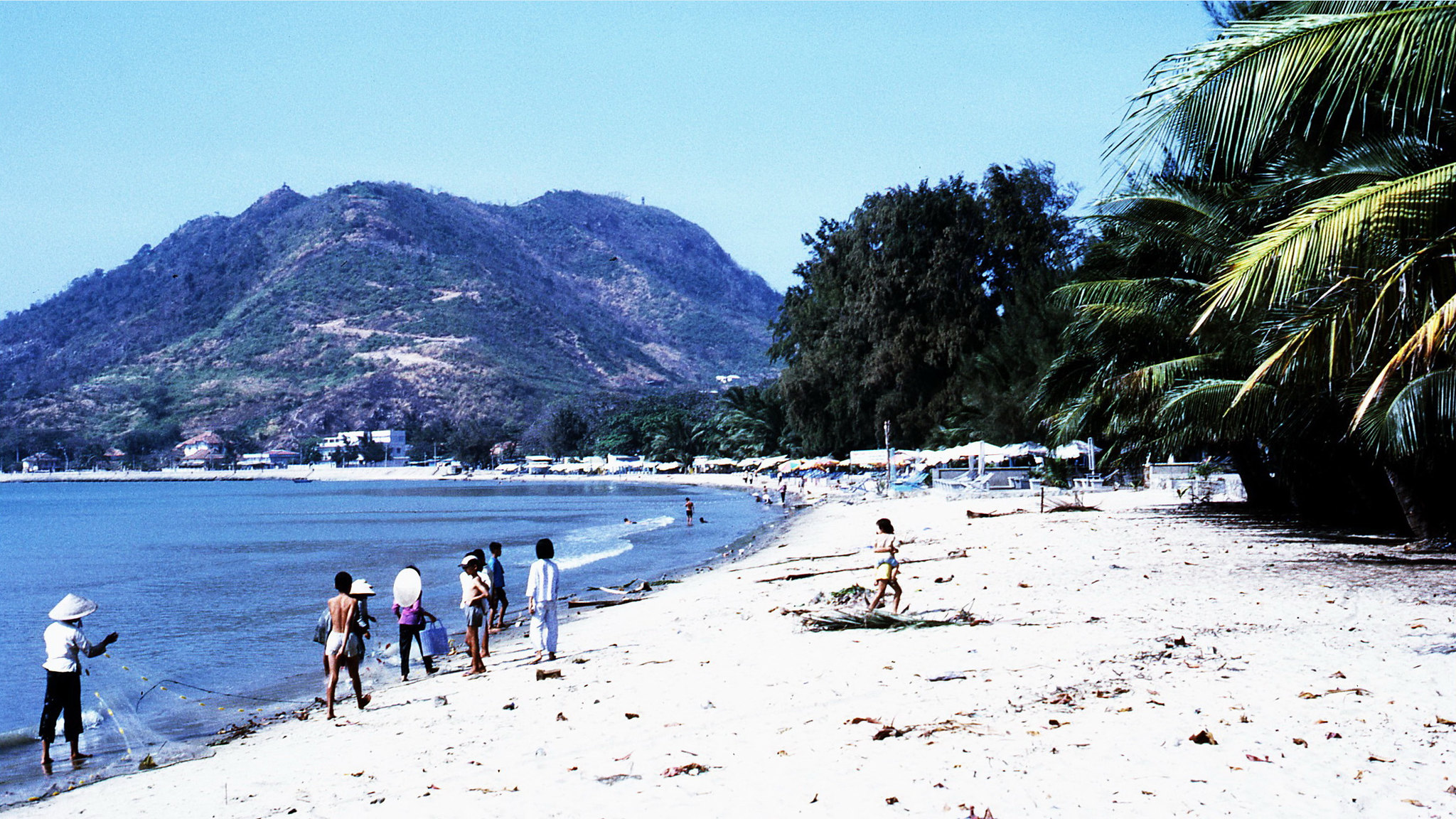 47c0ff25332f415b6d2d.jpg