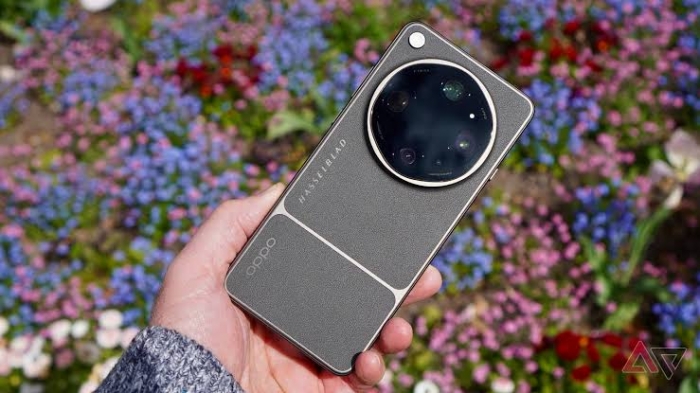 47f3fabadaba60d7e818.jpg