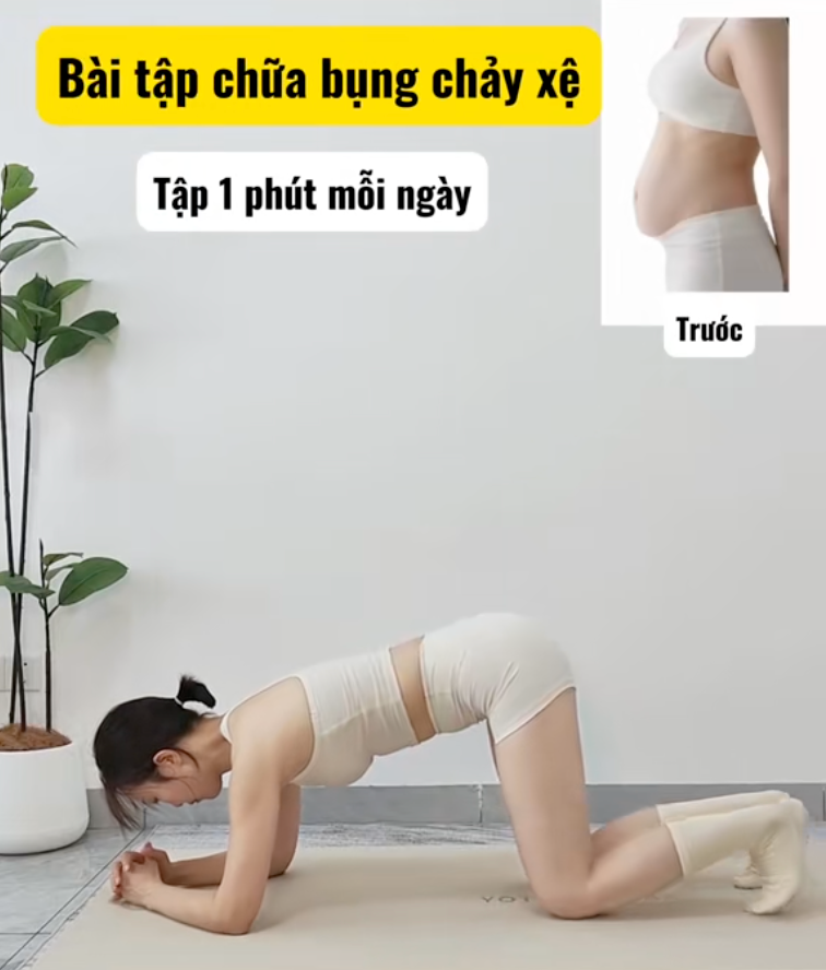 4828f6313342760603d1.png