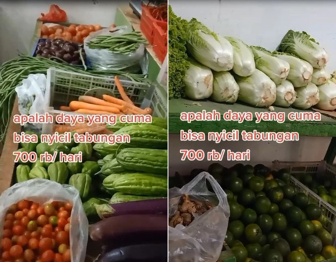 487459a9882b1c5a9ed9.png