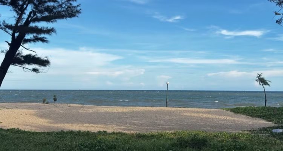 487acf204c2f395ba03e.jpg