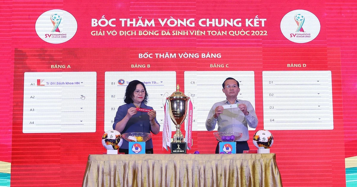 4880e68bf04c90482a0a.webp
