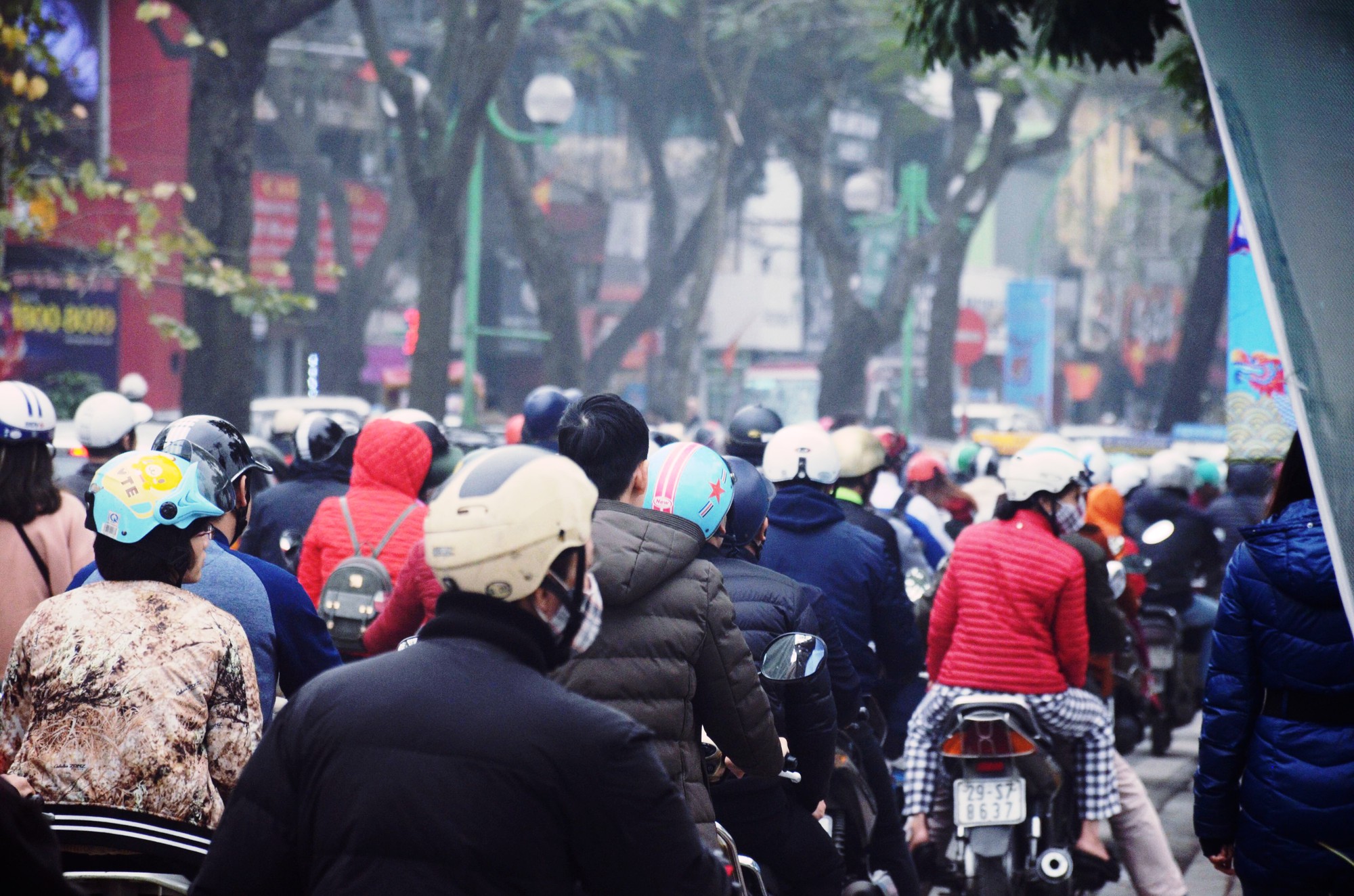 488c9a205efa236e8f41.jpg