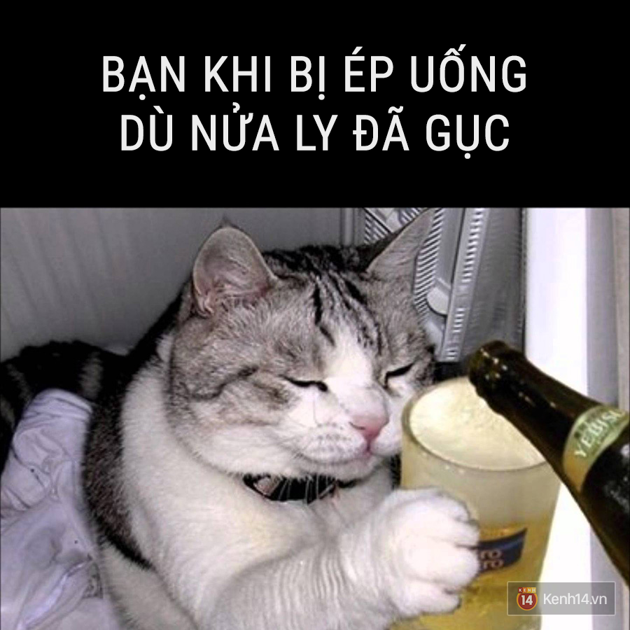 48ae8c59d8c177f40acc.png