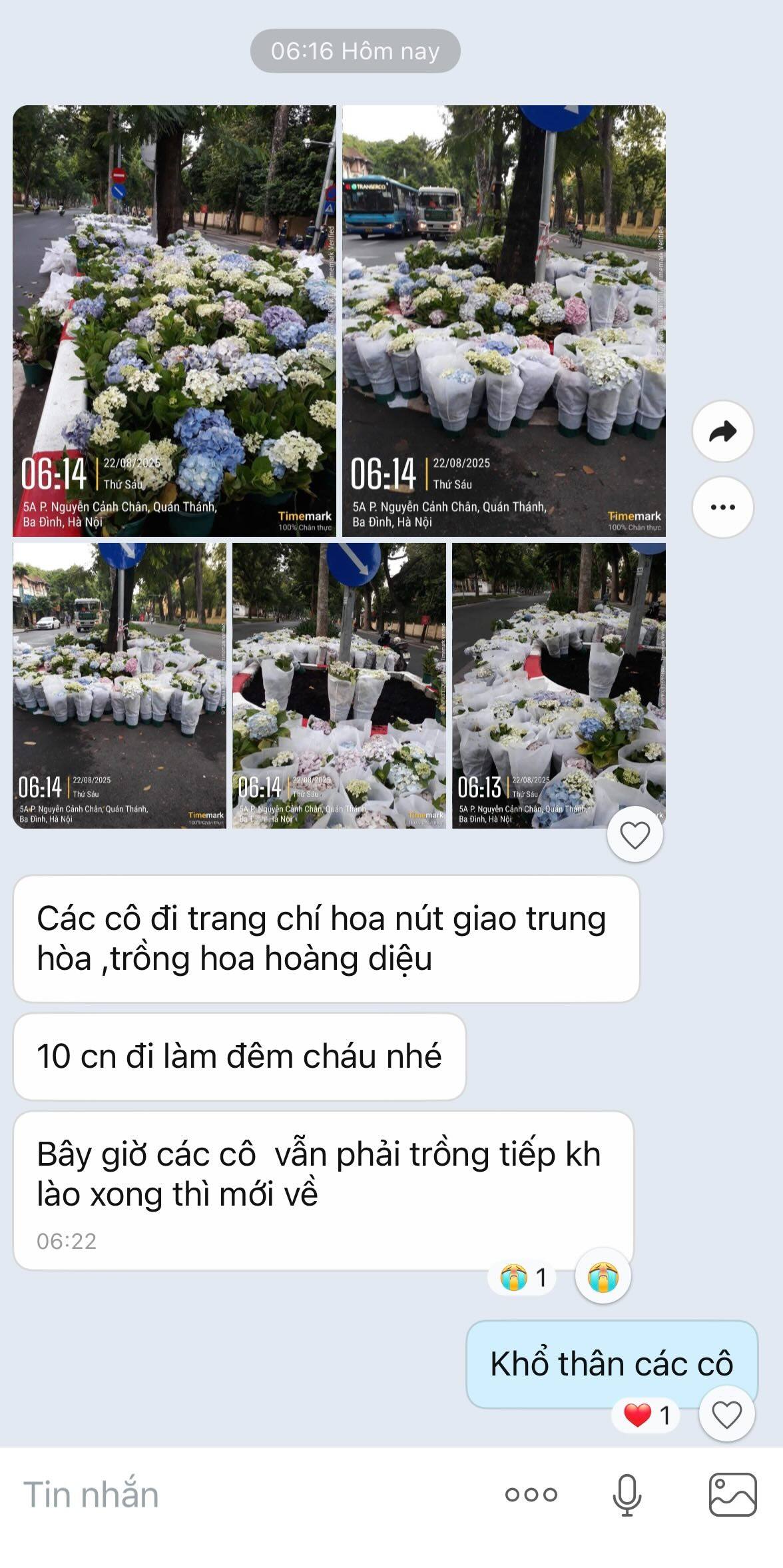 48da759c5cc43d027aa9.jpg
