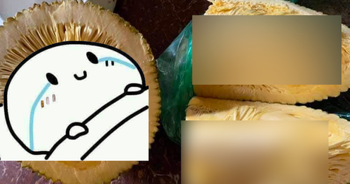 4905b2dbce783b868fcc.png