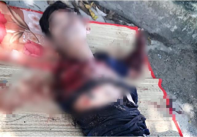 490ae3c1b532bf7ef5c2.jpg