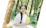 491ed8a5c26ffe1fee86.jpg