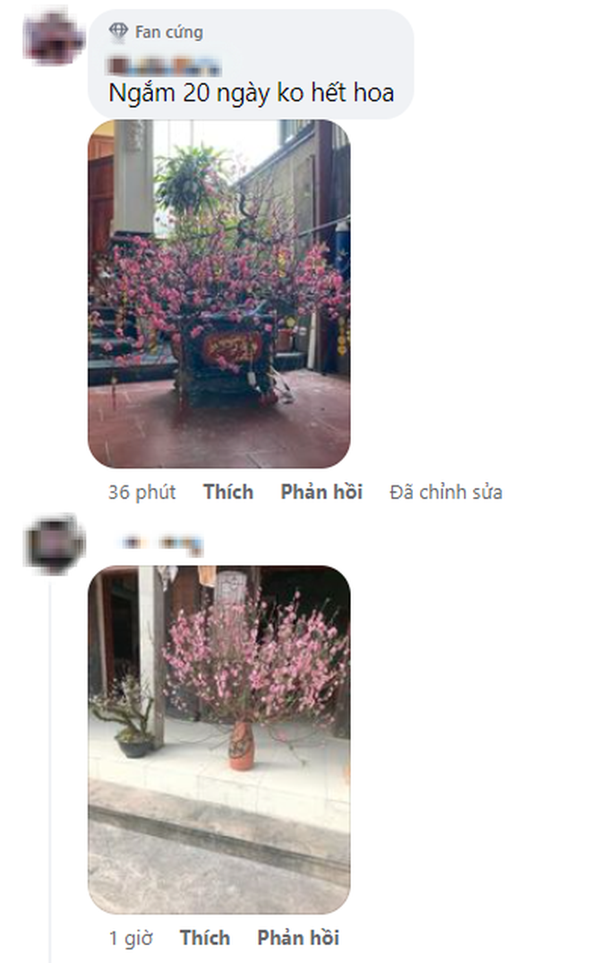 4925bc6fbecc8cb0be68.png