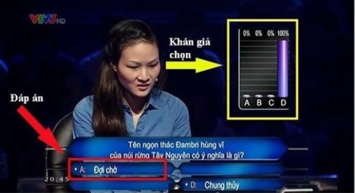 493a7c7e60ad8d8ae9ad.jpg