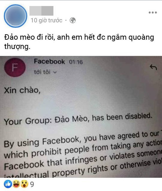 493d6cbdfe9b3f5208d6.jpg