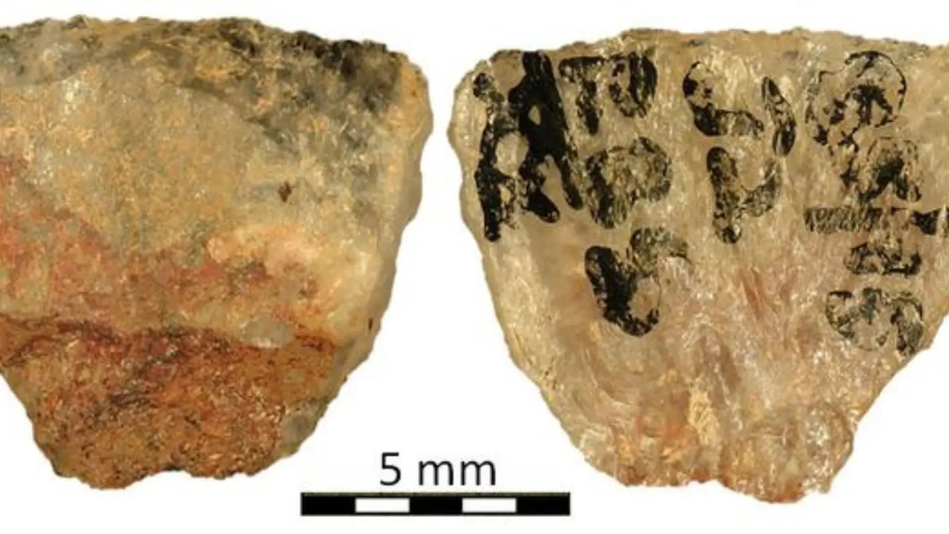 494ff428a7c8e55f7c24.jpg