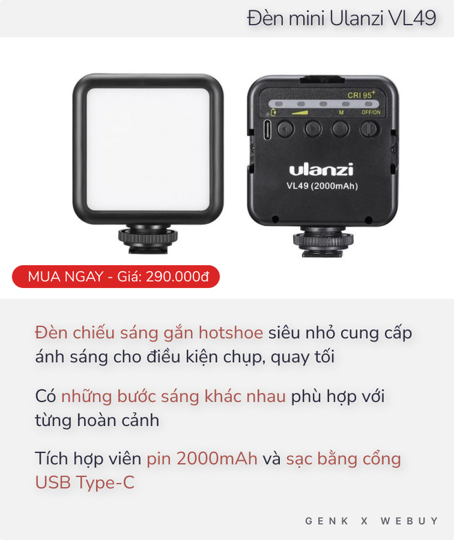 49afedea2f5369a69b18.jpg