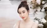 49c81a9e0e724e1ea89a.jpg