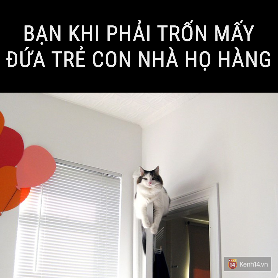 4a1e81ec709c64a9742e.png