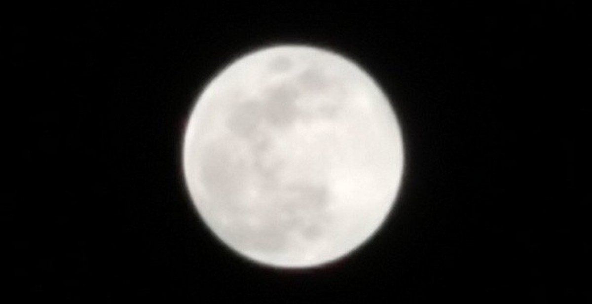 4a42b6b11d5539d59572.jpg