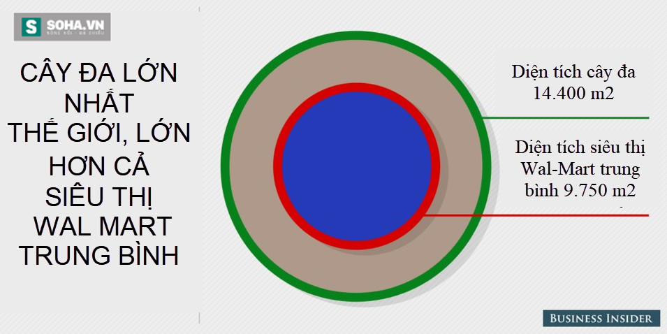4a46b634f4354b247952.png