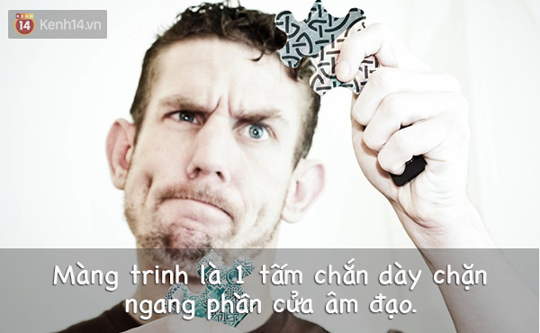 4ab158405f436b683d62.jpg
