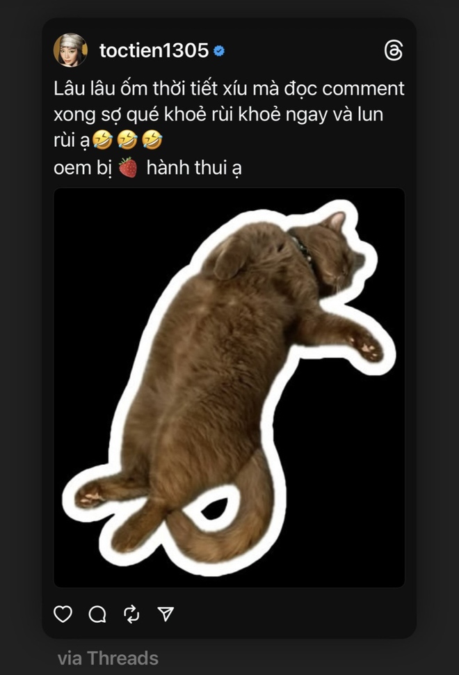 4ad5b402d82ceeff74f8.jpg