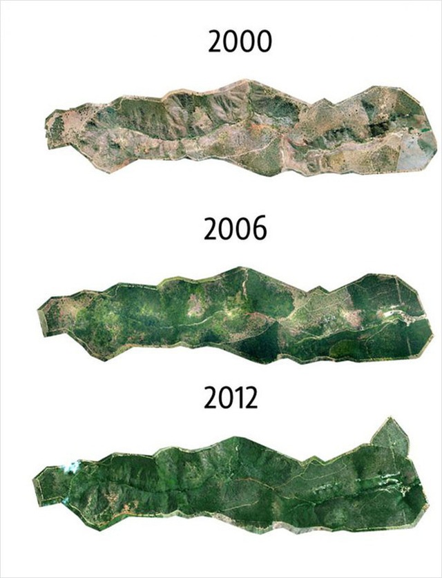 4ad7b6e43760b7999137.jpg