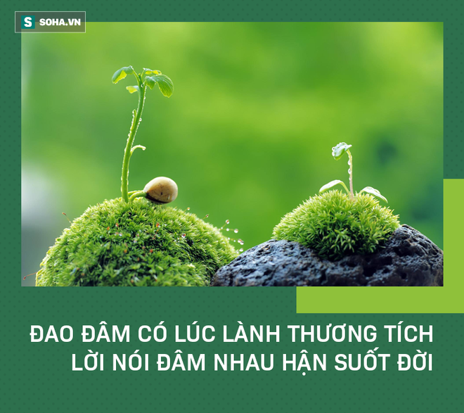 4afcf963d6cc116727f3.png