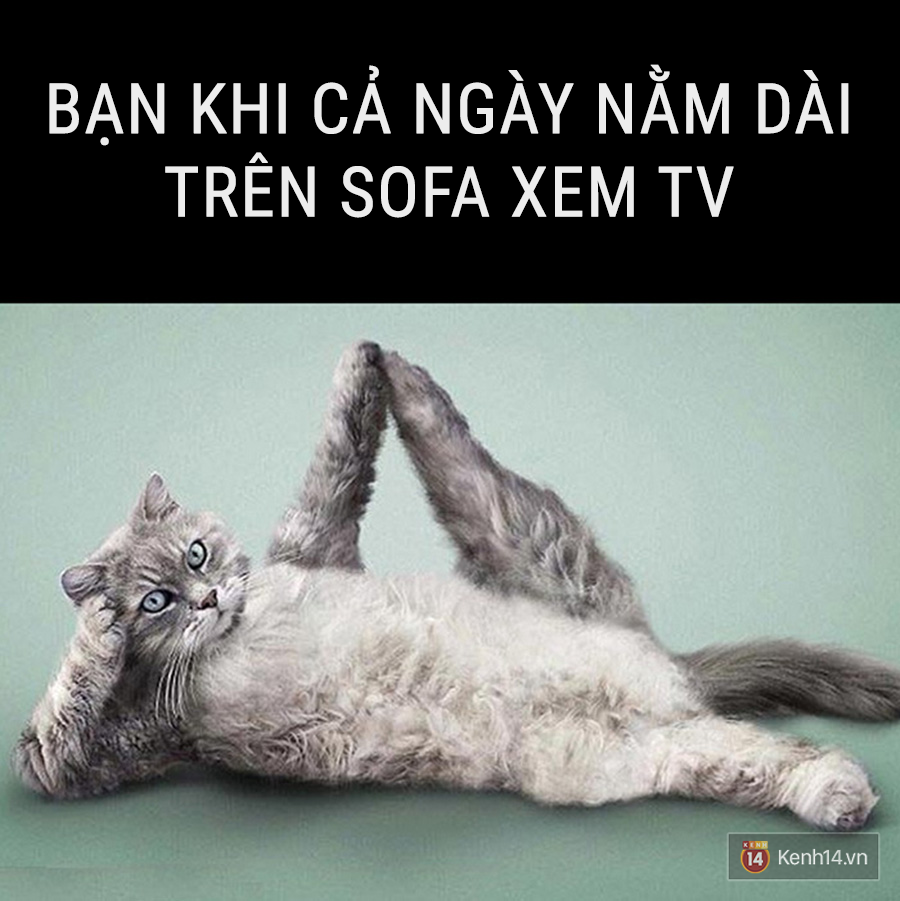 4b1de9cb1e7b1a343ff5.png