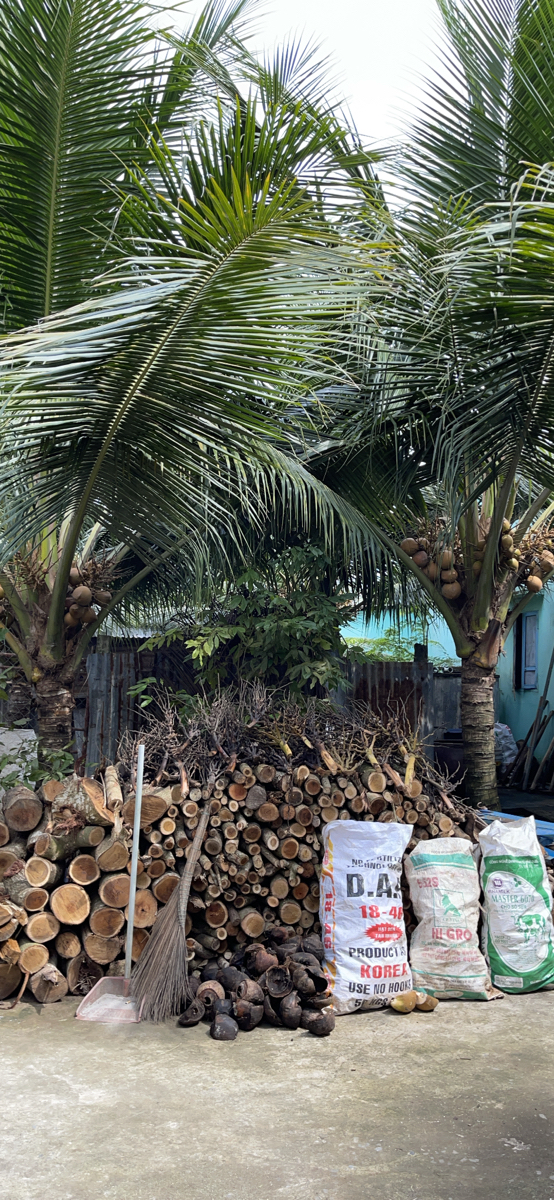 Mộc mạc nhưng thân yêu - Nỗi nhớ về góc sân tuổi thơ chất chứa ký ức