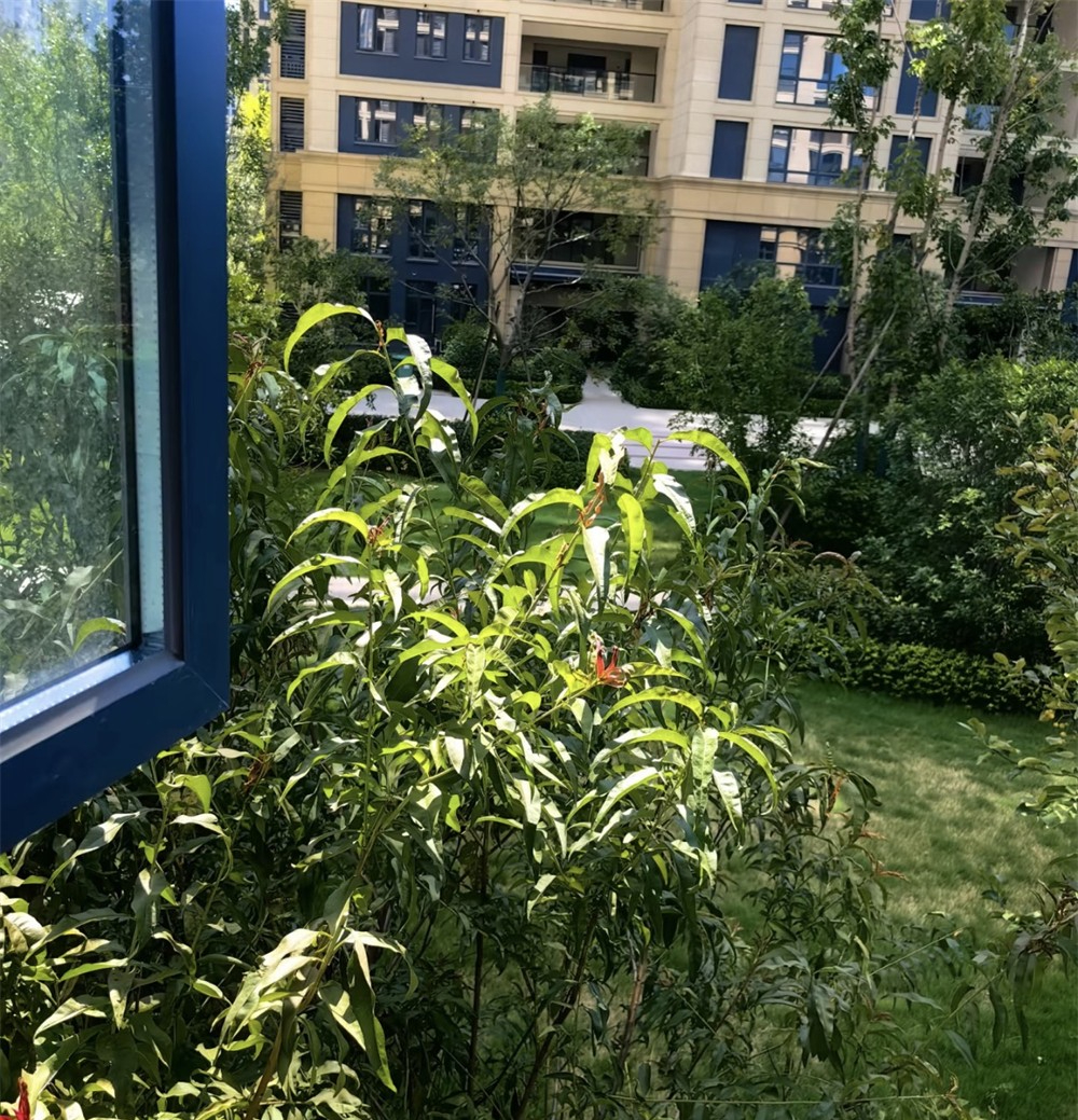 4b560f017425c50ffddf.jpg