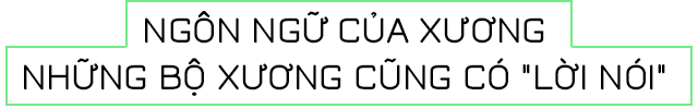 4b66a6e80bf207ce4090.jpg