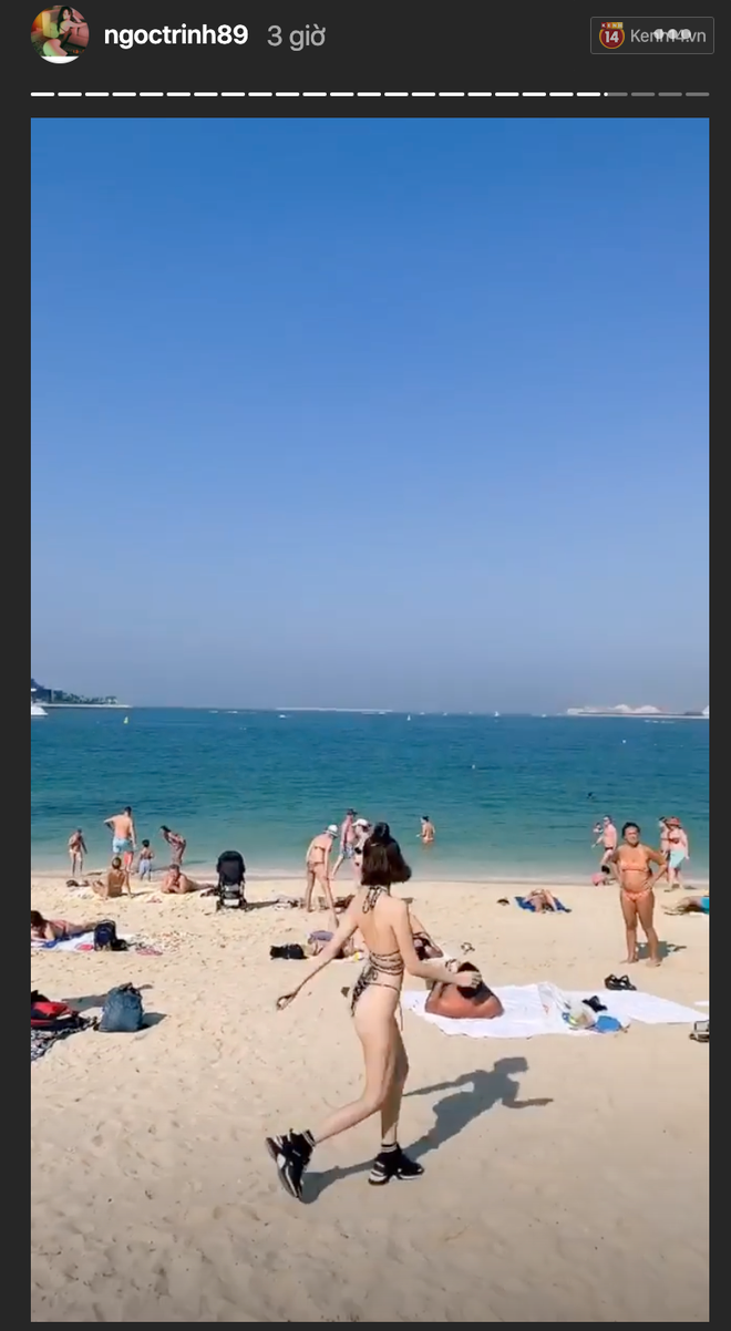 4b95cb891cb01330f22a.png