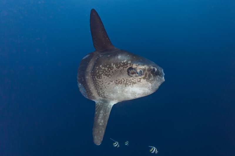 4c518c65587d685d64f6.jpg