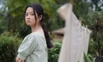 4c75bf07401f7b03b84a.jpg