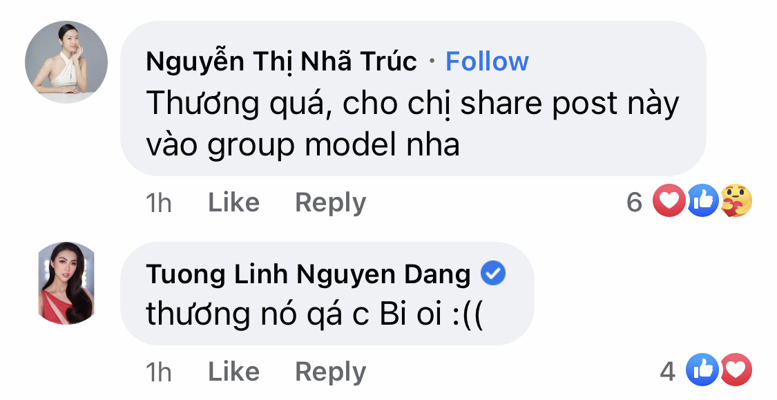 4c9e8dd776d576620bf2.jpg