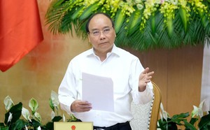 4d033bb7ca154d5db8ab.jpg