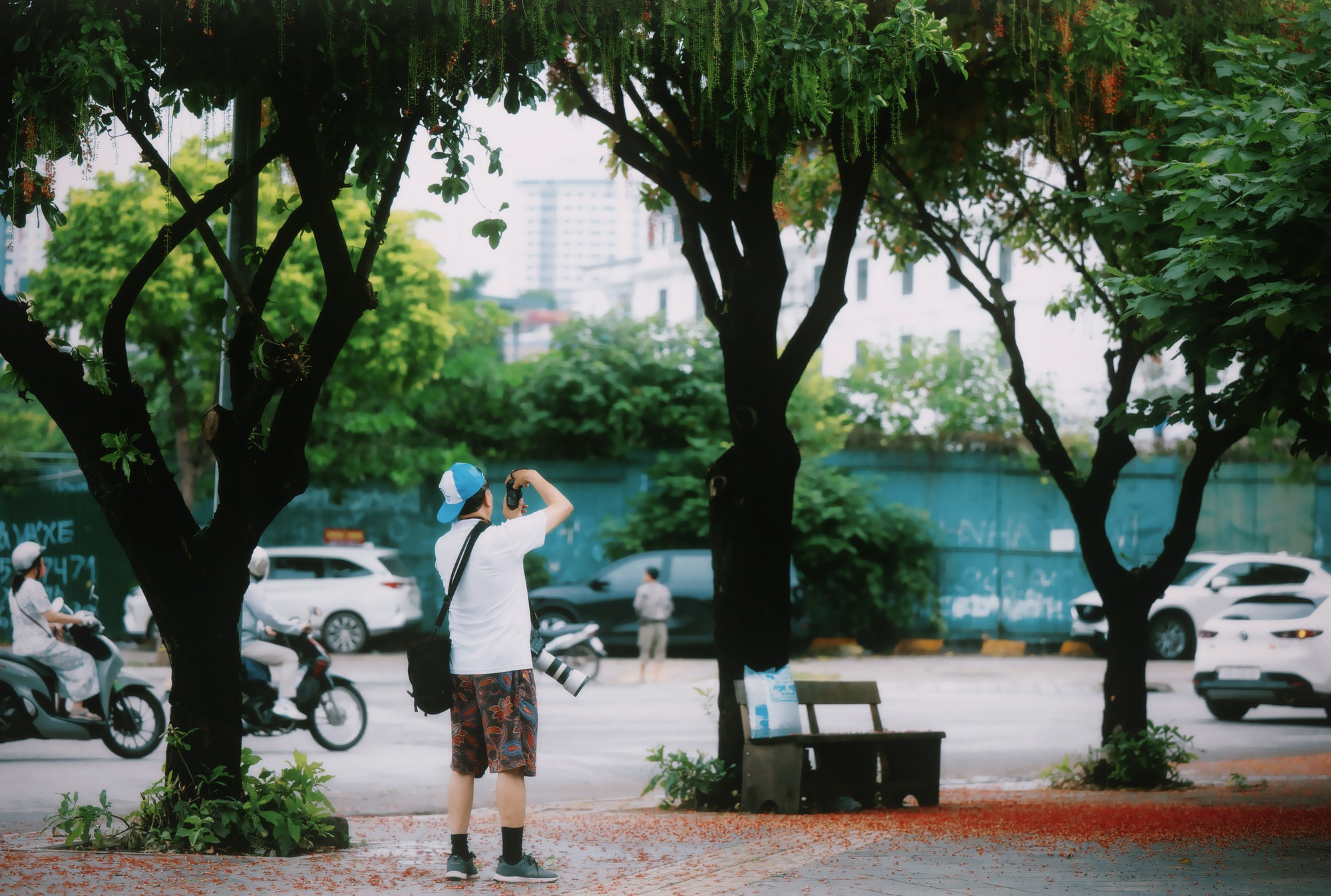 4d14afa8322193976442.jpg