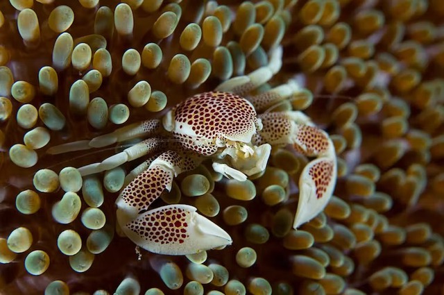 4d2d09fb650cc6abdbb6.jpg