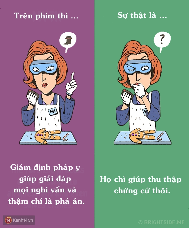 4d30ef6295f4e4caa5b5.jpg
